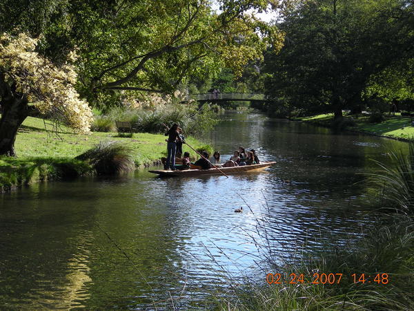Punting in the Avon River