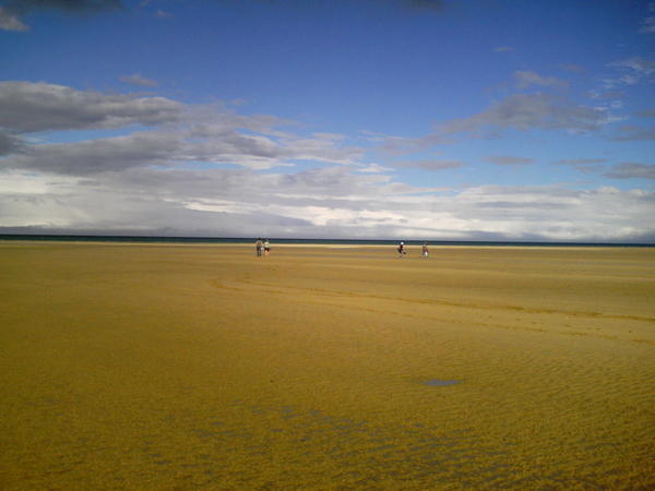 Abel Tasman Beach