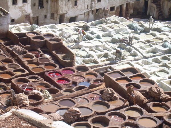 Fes, Morocco Tannery