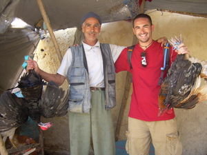 Caw caw in Fes, Morocco!