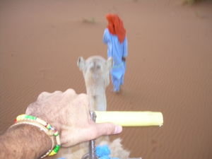 My Point of View in the Sahara Desert