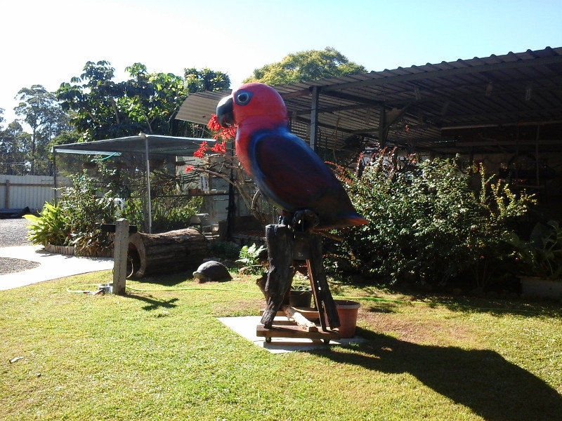 Parrots in Paradise (1)