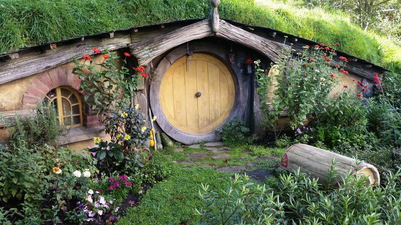 The Hobbiton village (8)