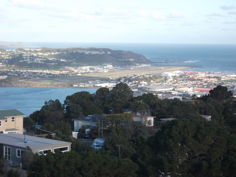Wellington (6)