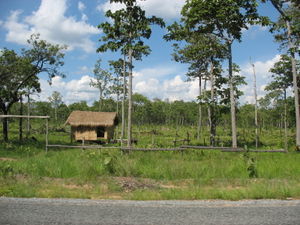 Cambodia Landscape