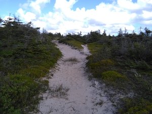 Le Rabougri Trail