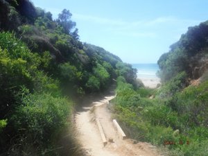 Trail to Sunnymead Beach