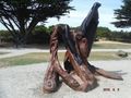 Apollo Bay Sculptures