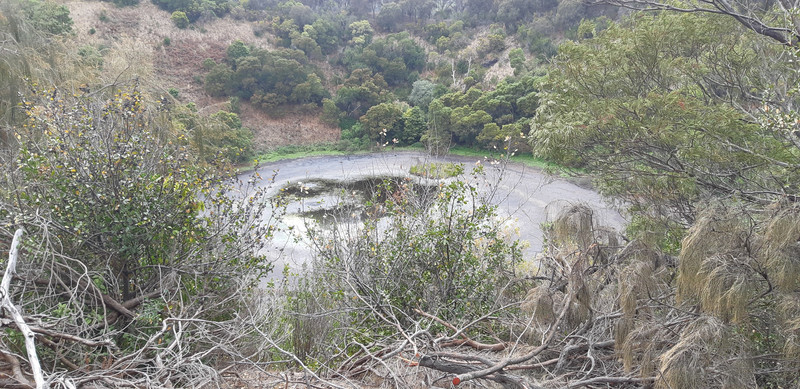 Volcanic crater at Tower Hill Reserve