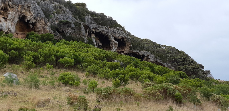 Tarragal Cave