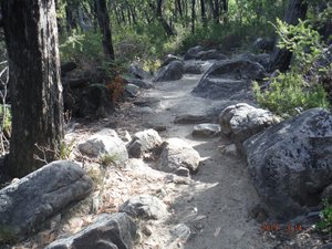 The Pinnacle Trail