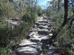 The Pinnacle Trail