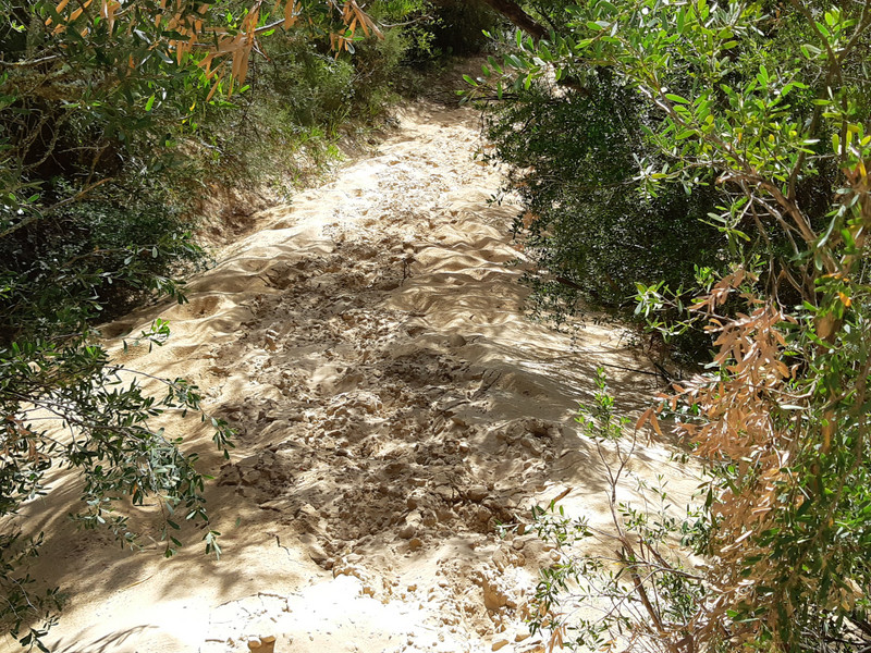 Path to dunes