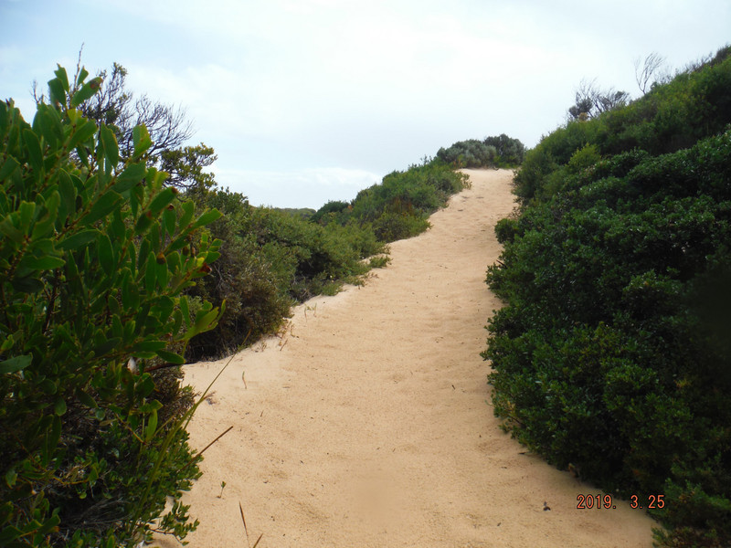 Path to Darby Beach