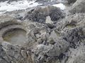 Rock Pools at Walkerville South Beach