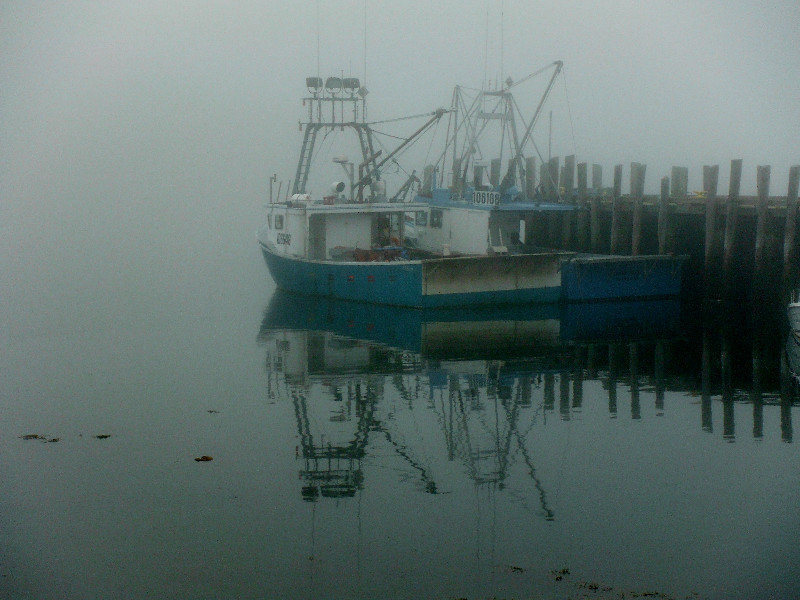 A foggy day in the harbour