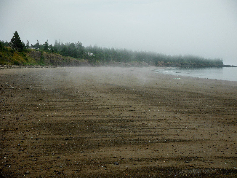 Seal Cove Beach (find the "Mermaind Tears")
