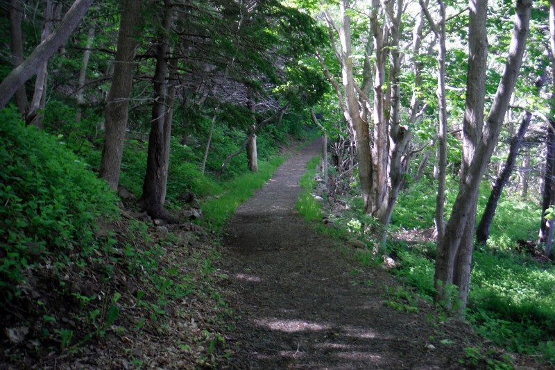 Corny Brook Trail