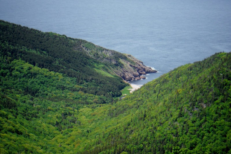 Fishing Cove from  up high