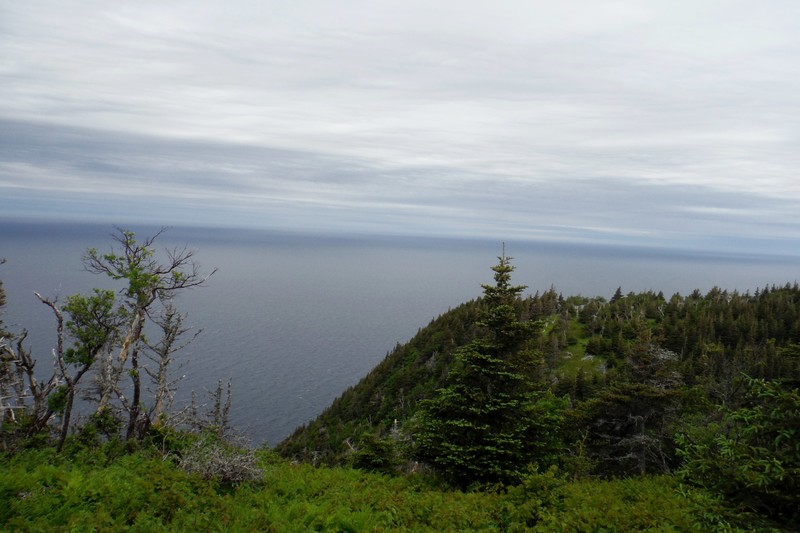 View of the St Lawrence River from the Skyline Trail