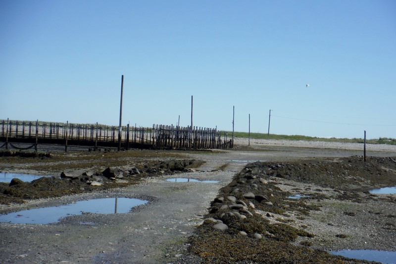 Low tide at Ross island - entrance point