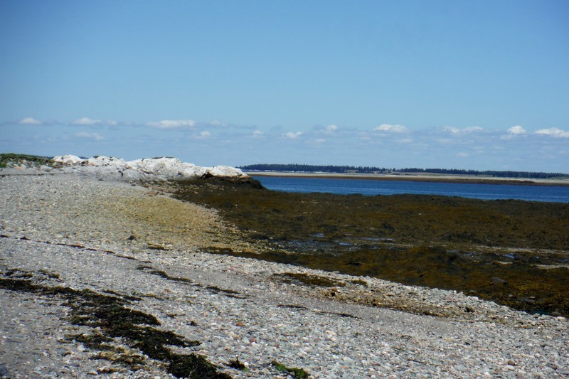 A Ross Island Beach