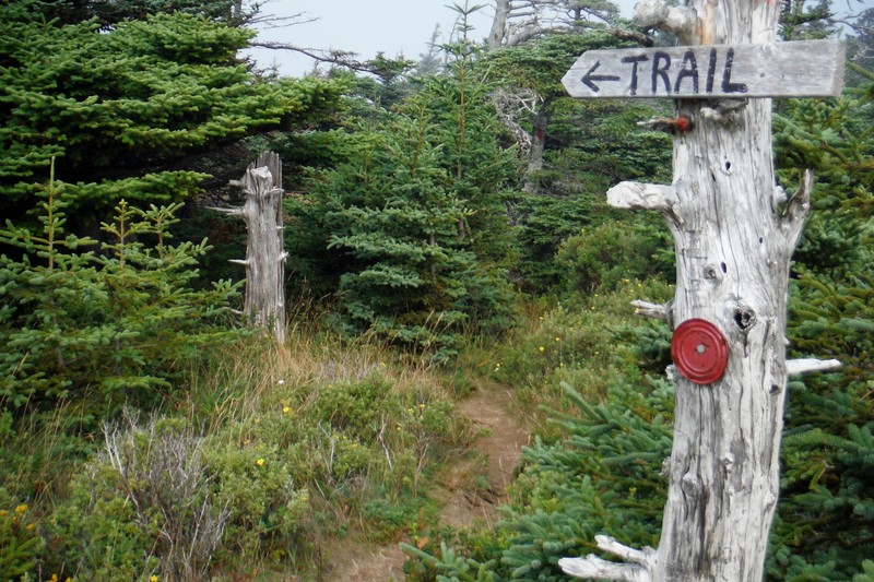 A rustic sign for a rustic trail