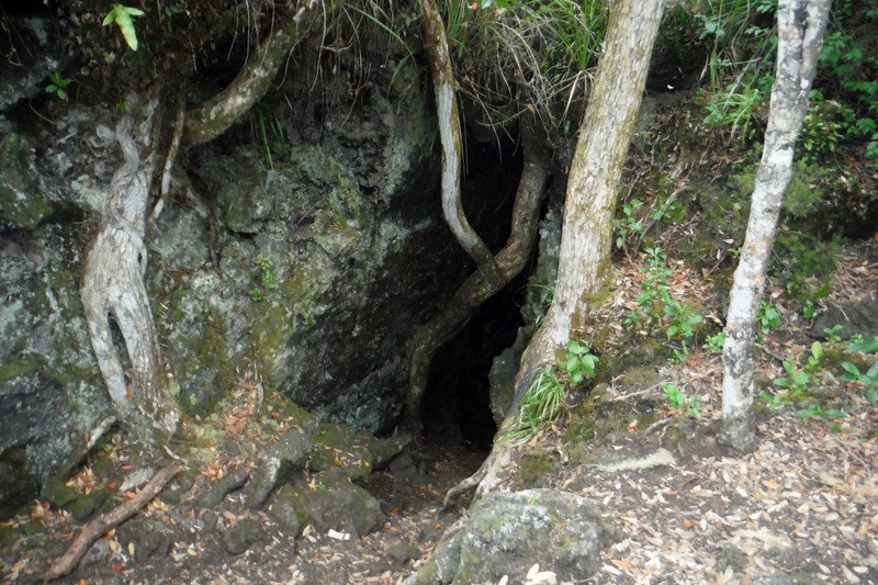 Entrance to a Lava Cave