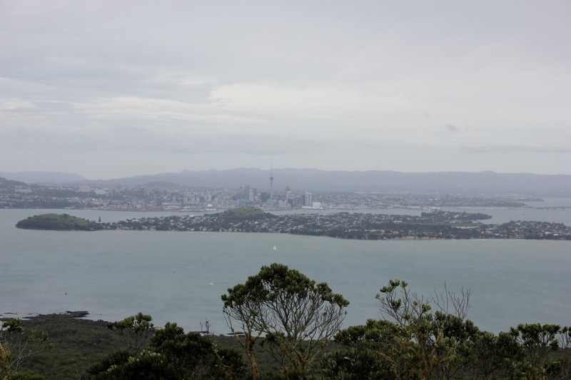 View of Auckland from summit