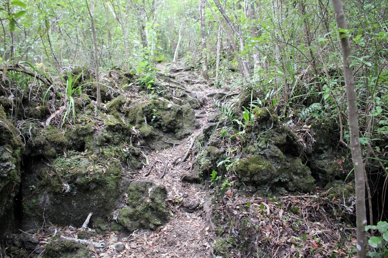 Path to Lava Caves