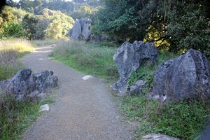 Rocks at Abbeys Cave
