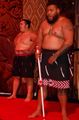 Two Maori warriors