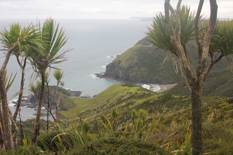 View from Cape Reinga