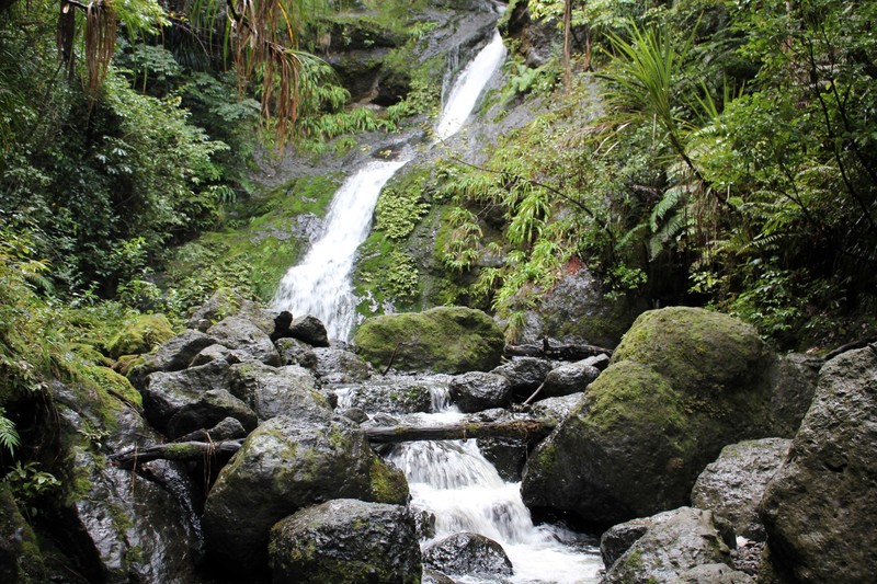 Waiotemarama Gorge Waterfall