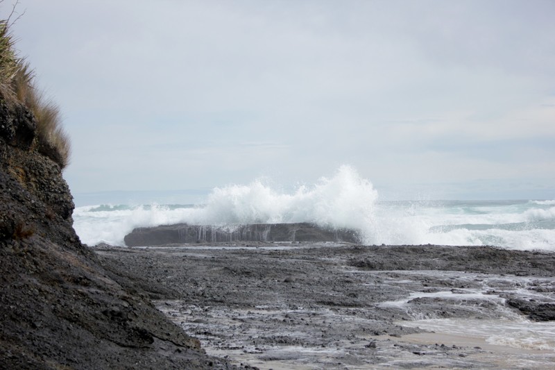 Rough waves  of the Tasman Sea