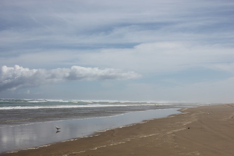 Ripiro Beach