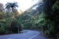 New Zealand road in Waipoua Kauri Forest