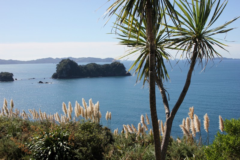 View from Cathedral Cove Trail