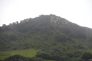 Mount Mauganui