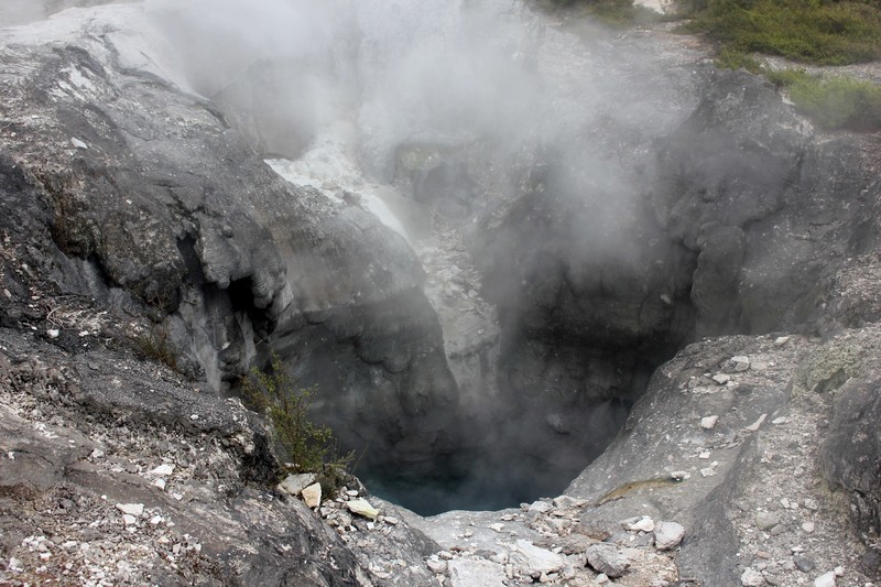 Te Puia Geothermal Park