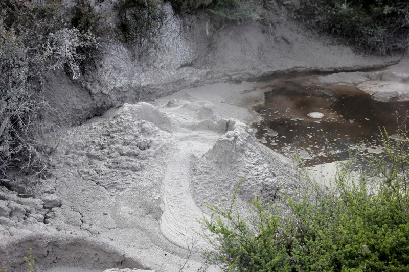Mud pools of Te Puia Geothermal Park