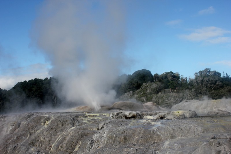 Te Puia Geothermal Park