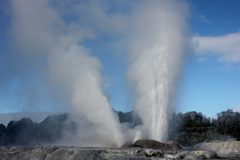 Erupting geysers Te Puia Geothermal Park