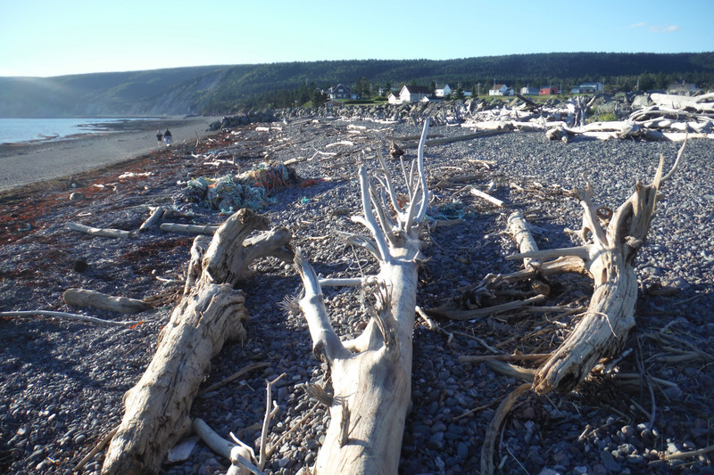 Driftwood Beach,  West Advocate Harbour, NS
