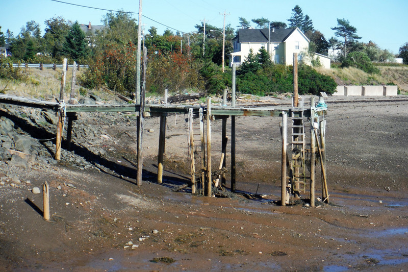Low tide at Advocate Harbour