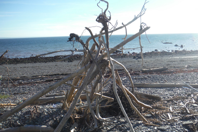 Driftwood structure red rocks beach