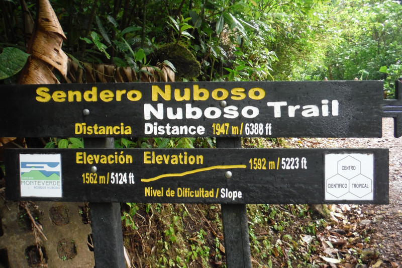 Trail within Monteverde Cloud Forest Biological Reserve