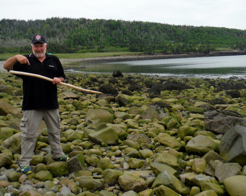 Walking stick treasure at Gullivers Cove