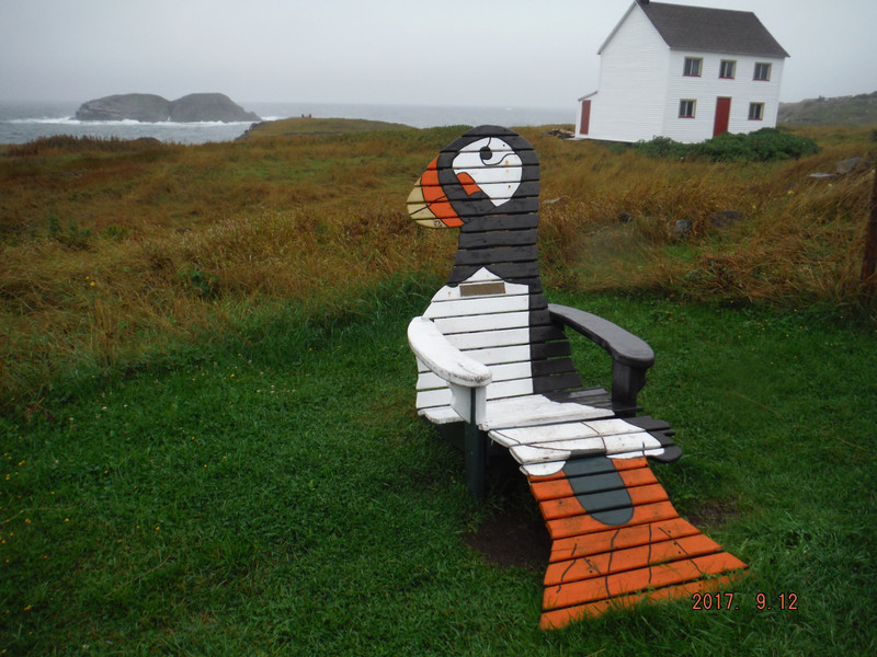 Puffin Chair at puffin viewing site