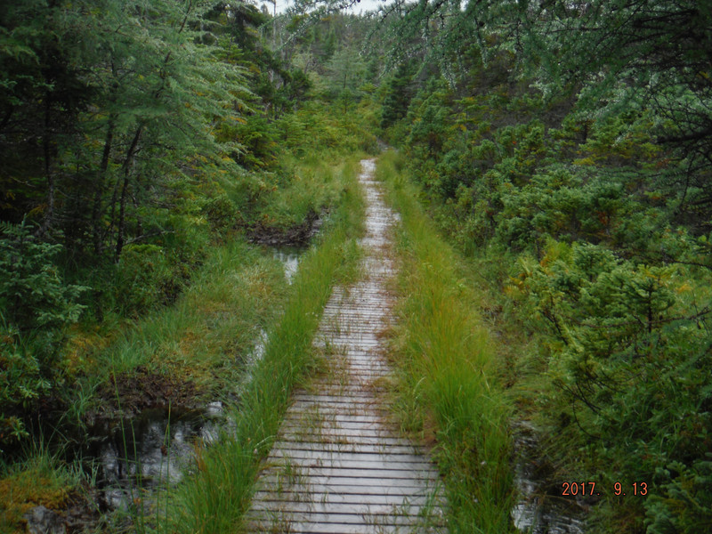 Trail to King's Cove Lighthouse